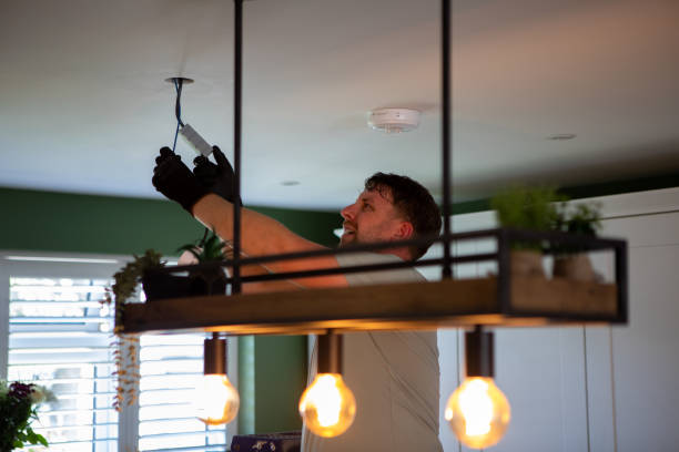 Best Electric Panel Repair  in Aurora, IN